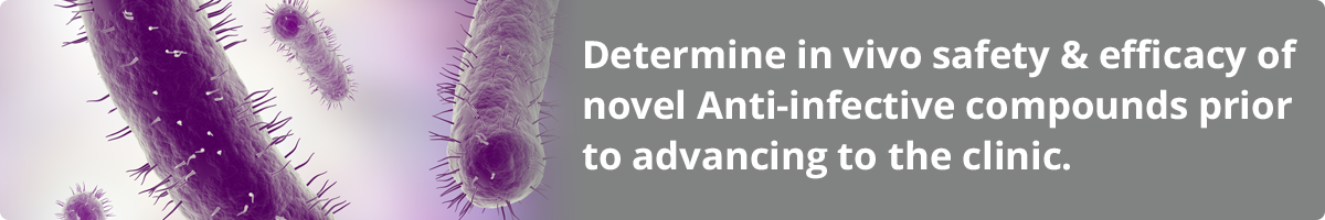 Antimicrobial In Vivo Models