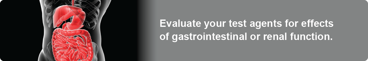 Gastrointestinal and Renal In Vivo Models