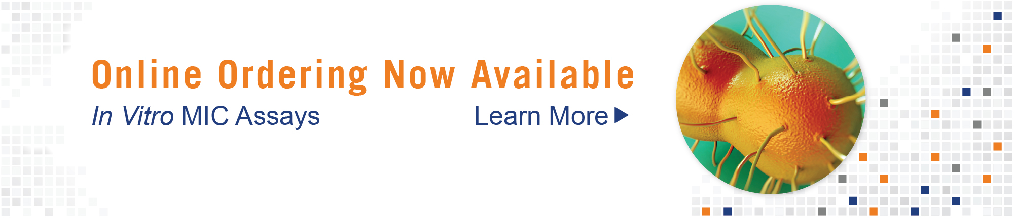 In-Vitro Aantimicrobials